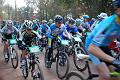 TRJV Gardanne 130211 010